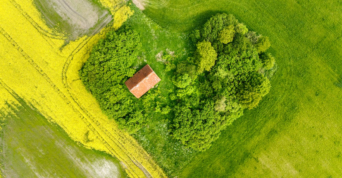 découvrez tout ce qu'il faut savoir sur les permis de construire : étapes, exigences, et conseils essentiels pour mener à bien votre projet de construction en toute légalité.