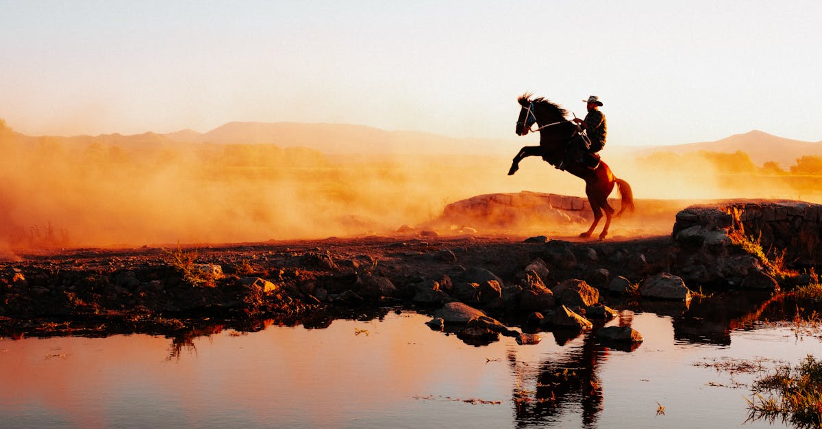 découvrez tout ce qu'il faut savoir sur le passeport pour chevaux. apprenez son importance, son processus d'enregistrement et comment il contribue à la santé et au bien-être de votre équidé.