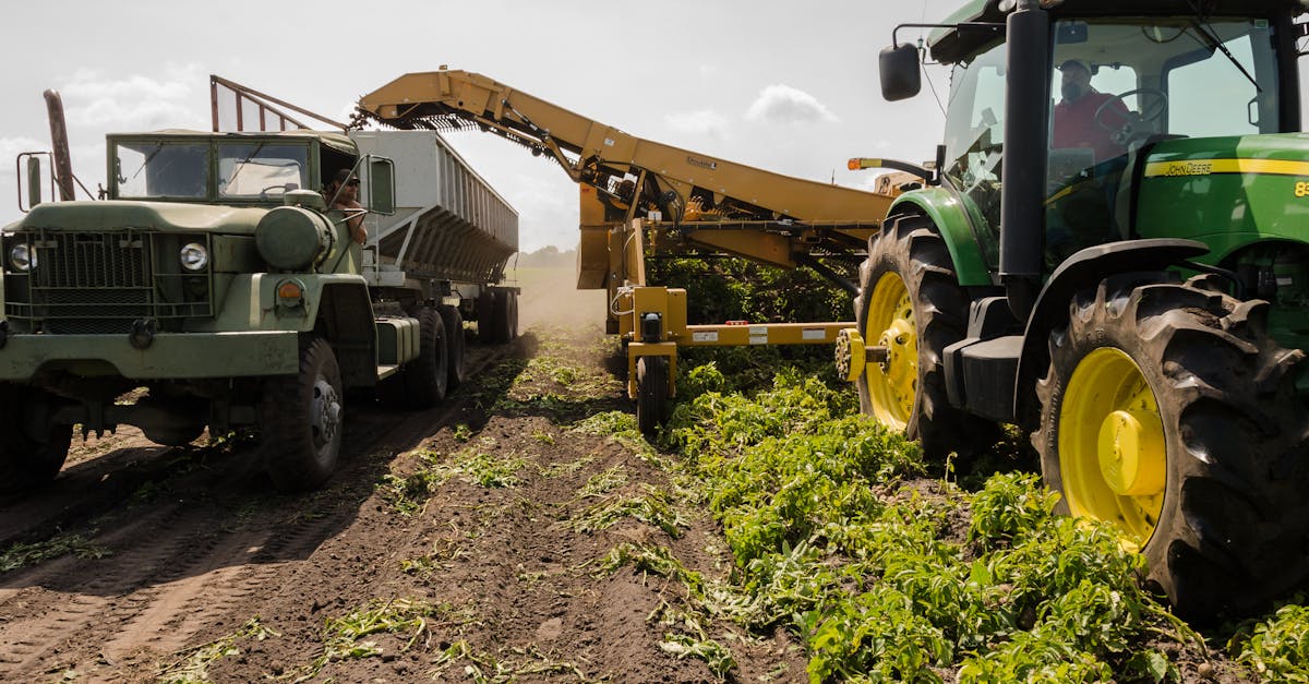 découvrez tout ce qu'il faut savoir sur l'enregistrement des tracteurs : procédures, documents nécessaires et conseils pratiques pour une mise en conformité rapide et efficace.